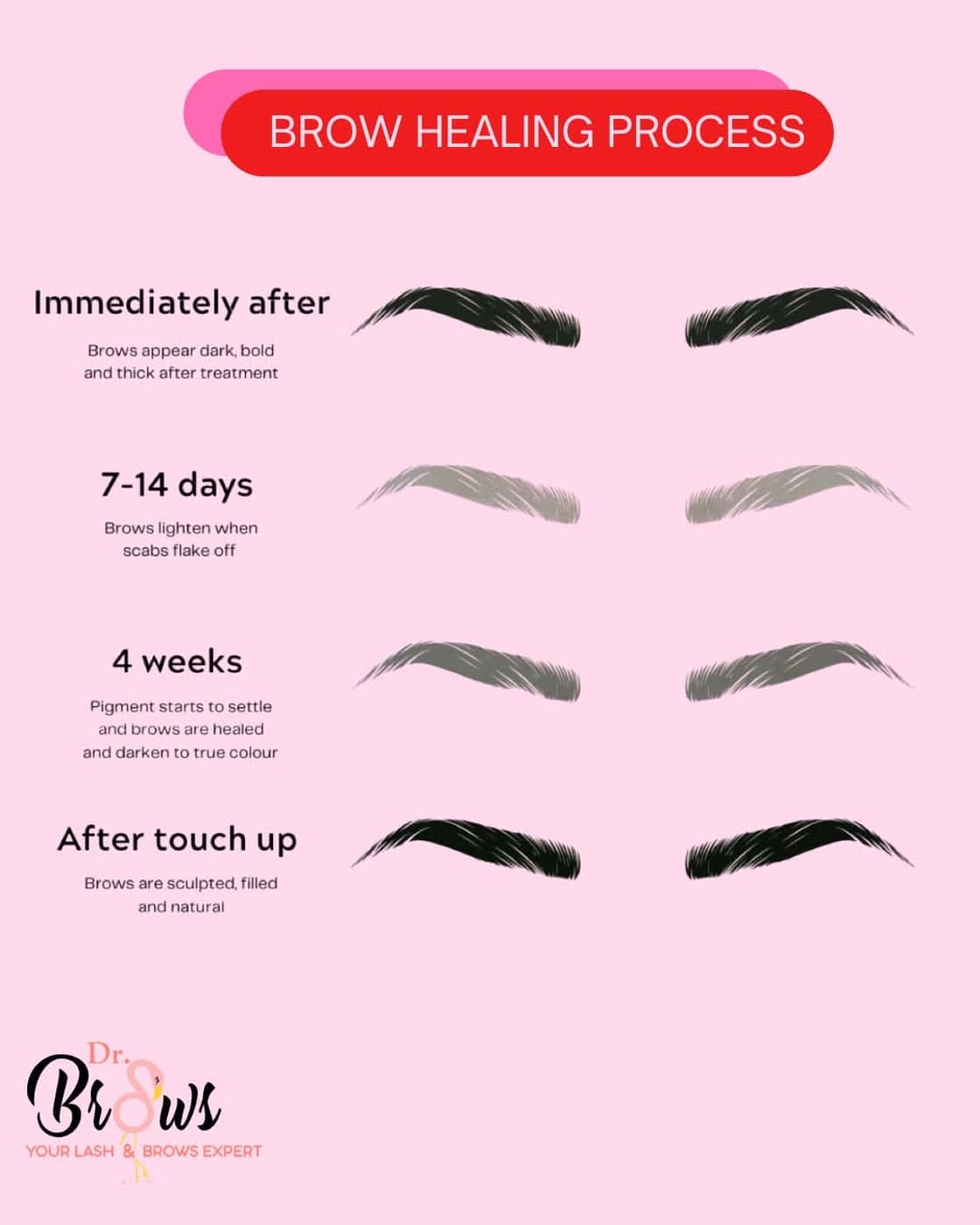 Brow healing timeline